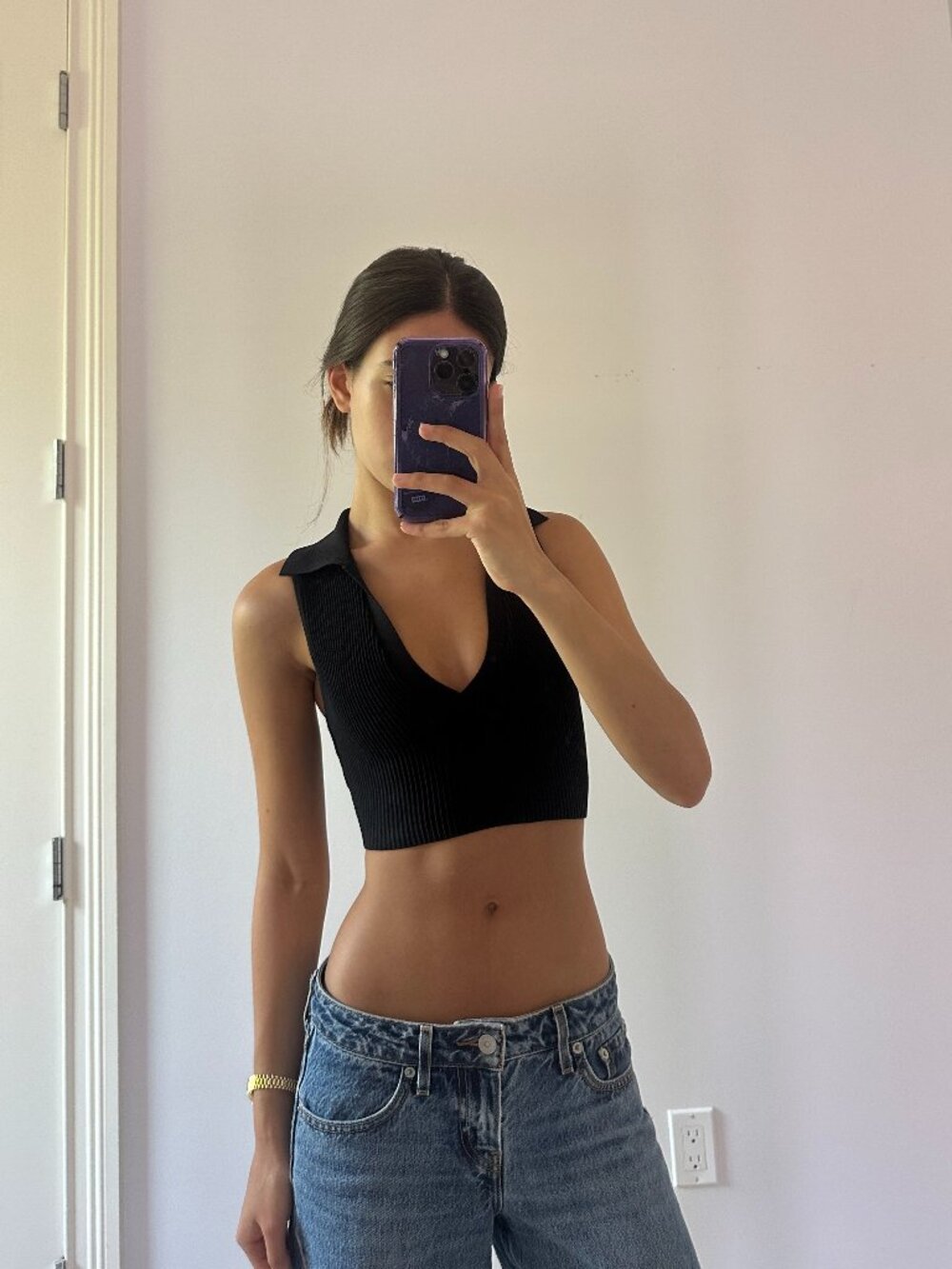 Aritzia Black Ribbed Collared Crop Top
